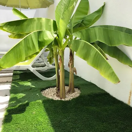 Diklo Rooms-adults Only זאדאר