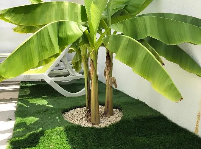 Diklo Rooms-adults Only Zadar